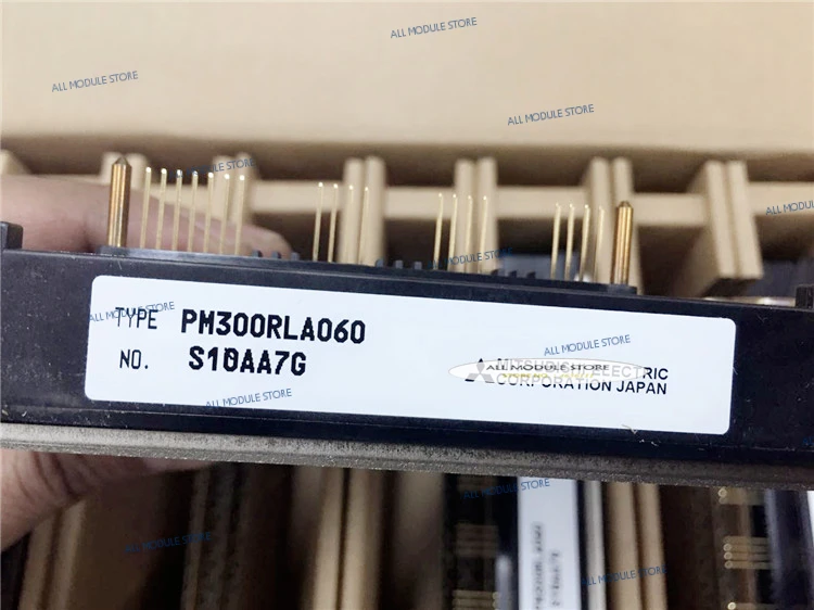 PM300RLA060