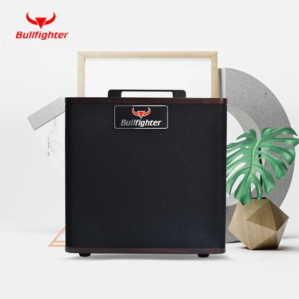 

30W 40W Portable Acoustic Guitar Amplifier Amp BT Speaker Built-in Rechargeable Battery with Microphone Interface