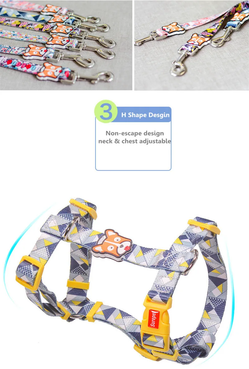 Dog Collars  (19)