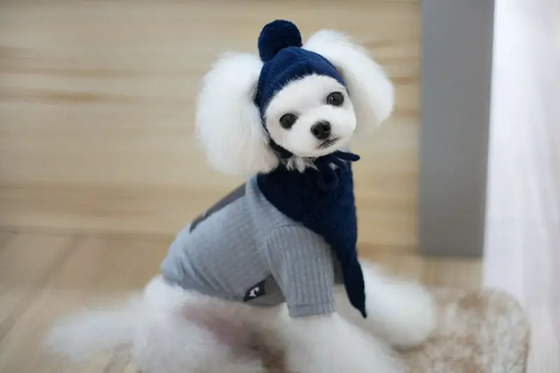pet hat (3)