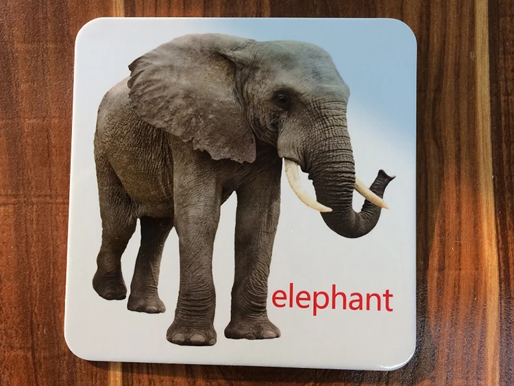 Jogo do Bebê Early Learning Brinquedos Educativos Cognitivas Cartões Flash Card Animais Materiais Montessori Inglês Crianças 44 Pçs - Set 6 Computers & Electronics