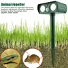 Garden Supplies
