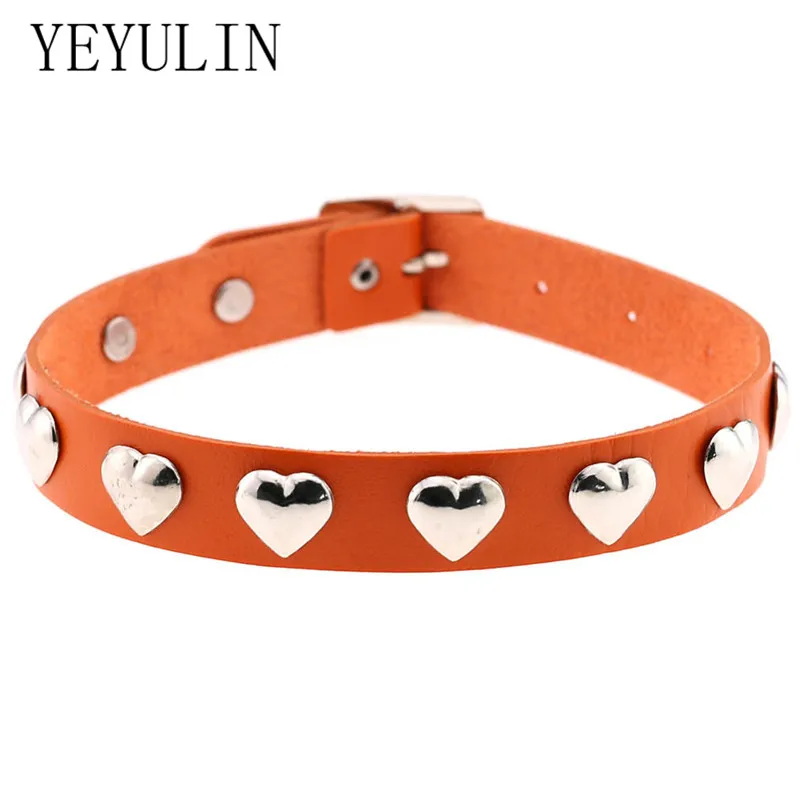 5110511219_1698660574