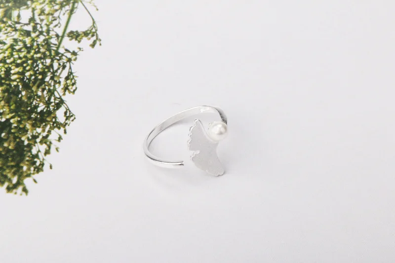 r60 (8)