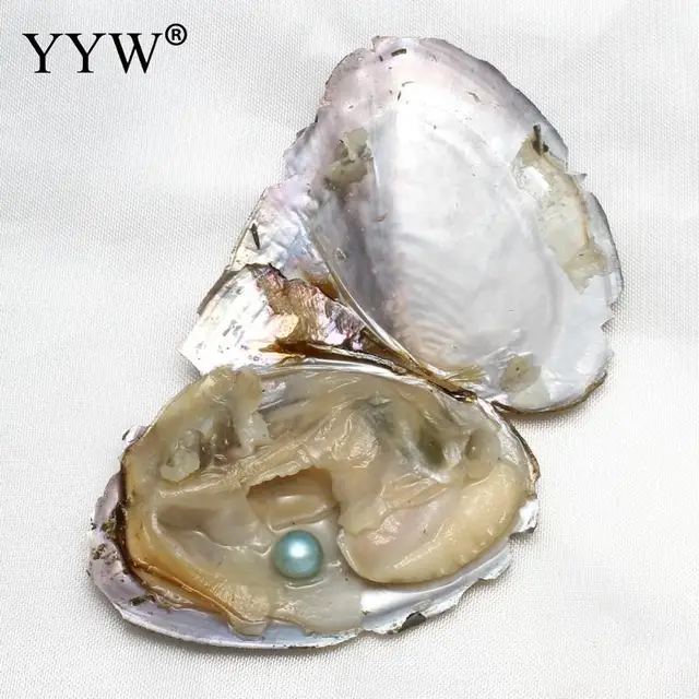 10PC Akoya Love Wish Pearl Oysters with Round Pearl Inside 10 Color Saltwater Cultured Birthday Mothers Easter Gift Pearl Wedding Party 7-8mm