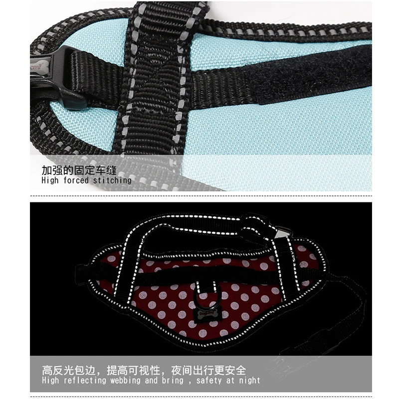 Harnesses-12-17