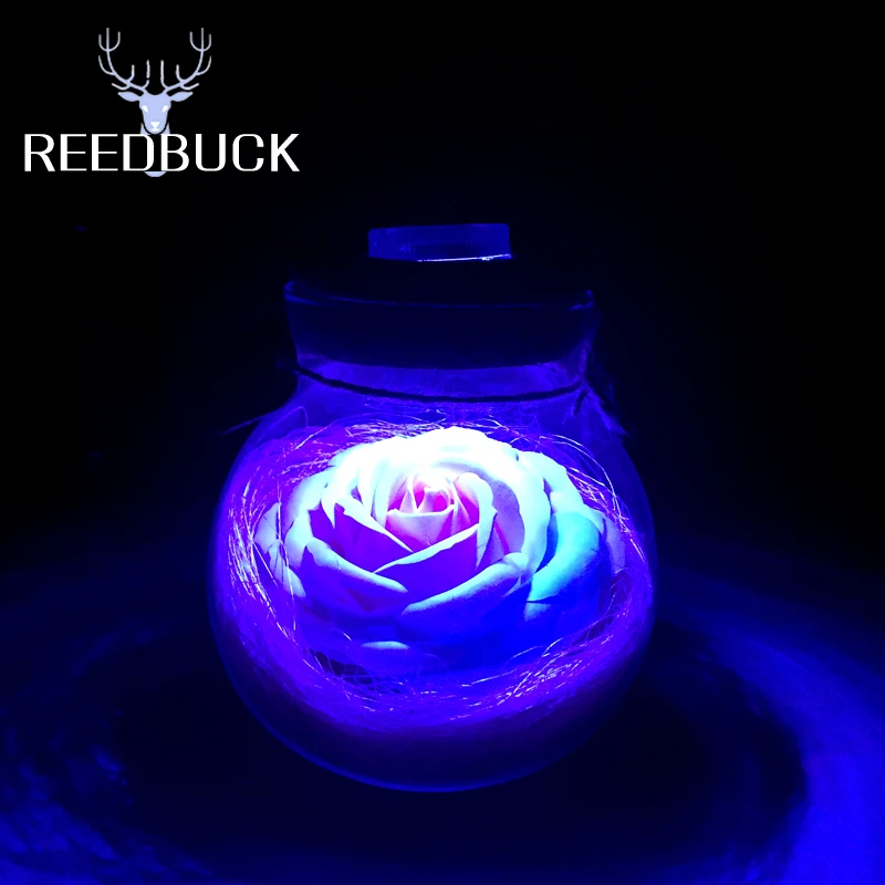 led RGB lamp Color Romantic rose wishing bottle (9)