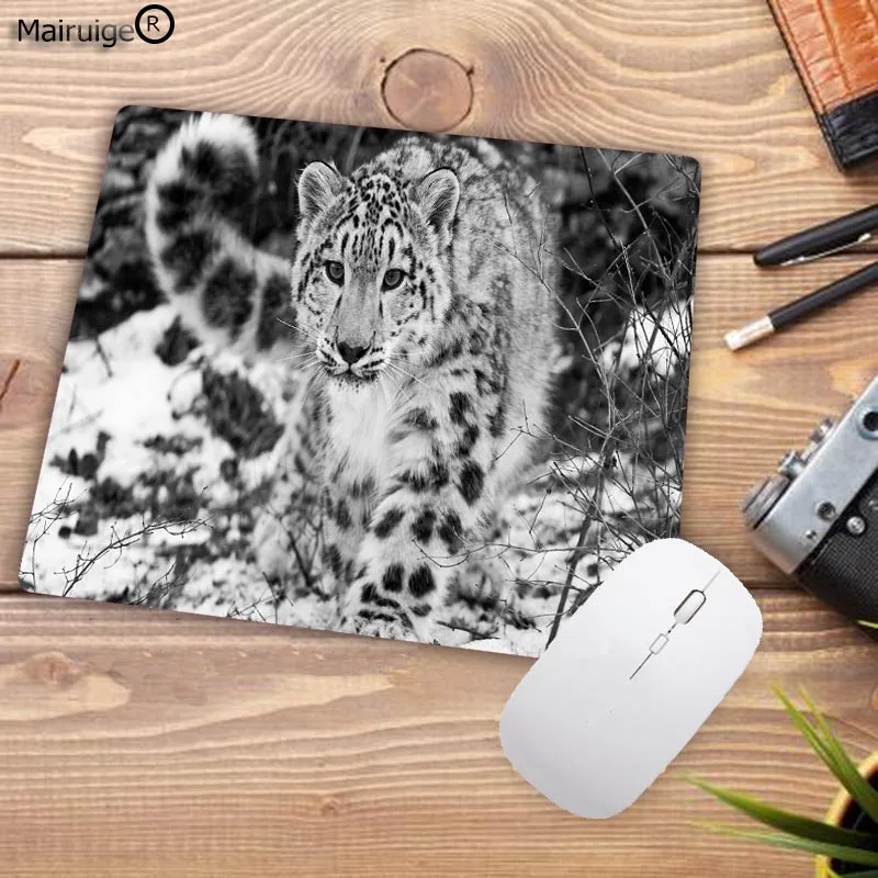 32leopard-desktop-background-leopard-desktop-background-leopard-computer-backgrounds-snow-leopard-desktop-background-leopard-desktop-wallpaper (3)