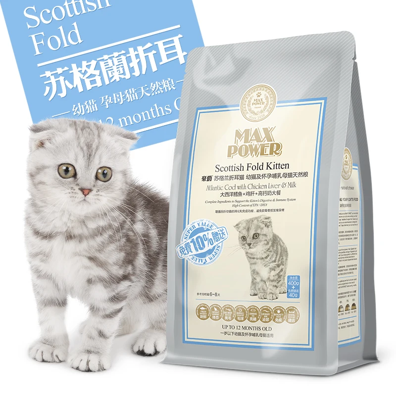 Haojue cat MP3B Scottish Fold kittens and pregnant lactating cat