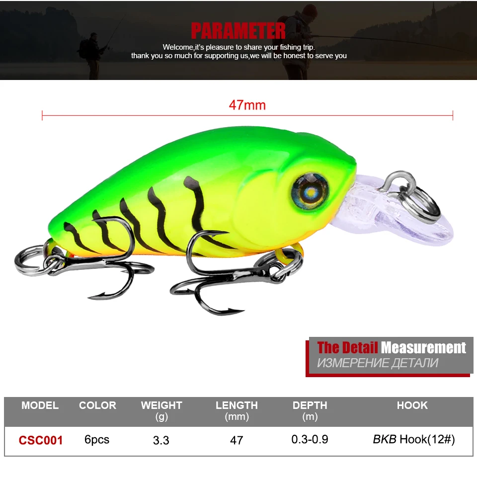 CSC001_03