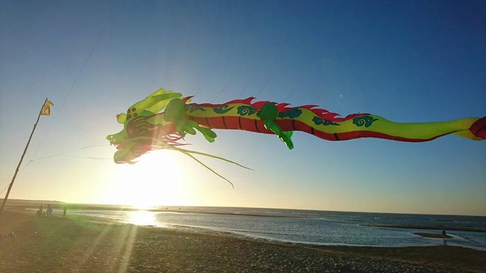 Надувной воздушный змей для шоу драконов от фабрики Weifang kaixuan 30 м|kite factory|show kitekite