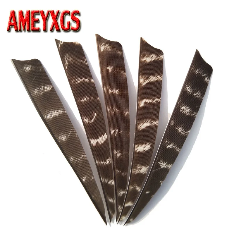 HTB11QeBbkOWBuNjSsppq6xPgpXaF