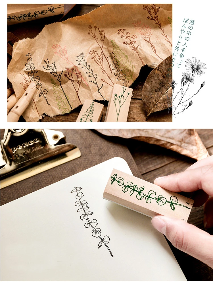 9723157644_1597187969