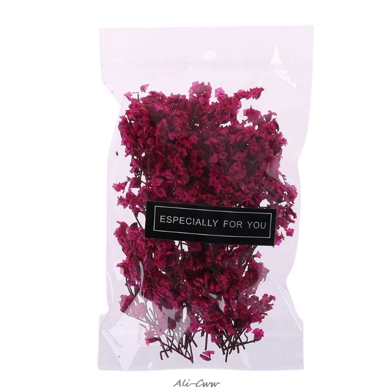 1 пакет настоящий прессованный высушенный цветок цветочные растения украшения для поделок Скрапбукинг открыток художественное ремесло украшение - Цвет: HP