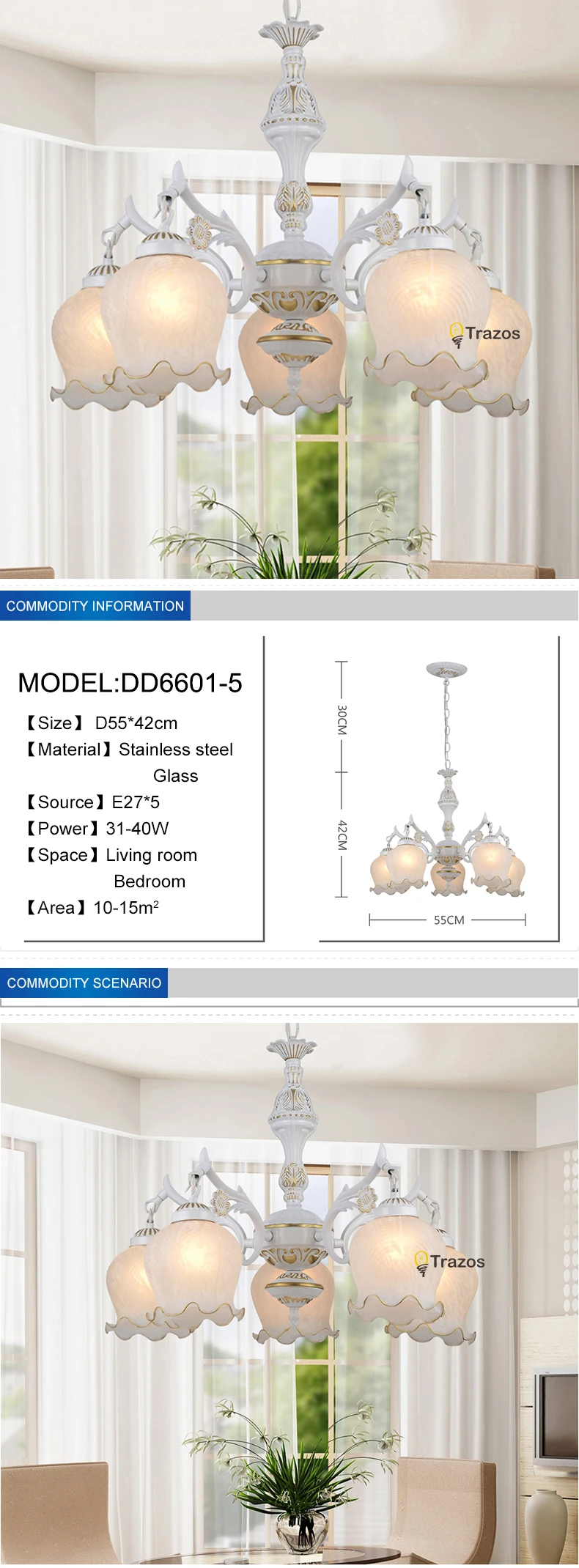 DD6601-5_01