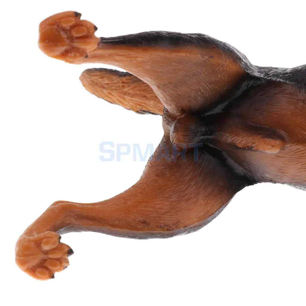 Simulation Wildlife Farm Pet Animal Model Action Figures Figurine Kid Educational Science Nature Toy Home Collectible Decoration
