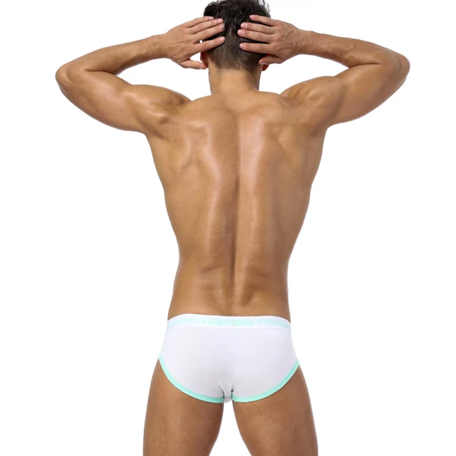ORLVS Brand Men Briefs Underwear Men Sexy Breathable Brief Underpants Modal Comfortable Men Underwear Shorts Cueca Male Panties
