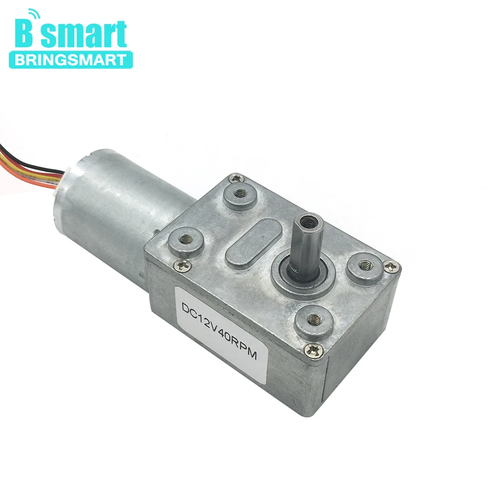 DC12V 24V JGY2430 Gearbox Turbo Worm Gear Brushless DC Motor with Speed Control