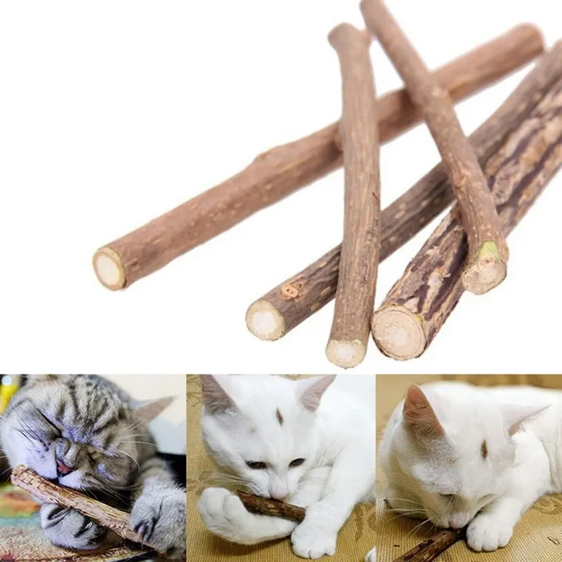 

5pcs/pack Cat Cleaning Teeth Natural Catnip Pet Cat Molar Toothpaste Stick Matatabi Actinidia Fruit Silvervine Cat Snacks Sticks