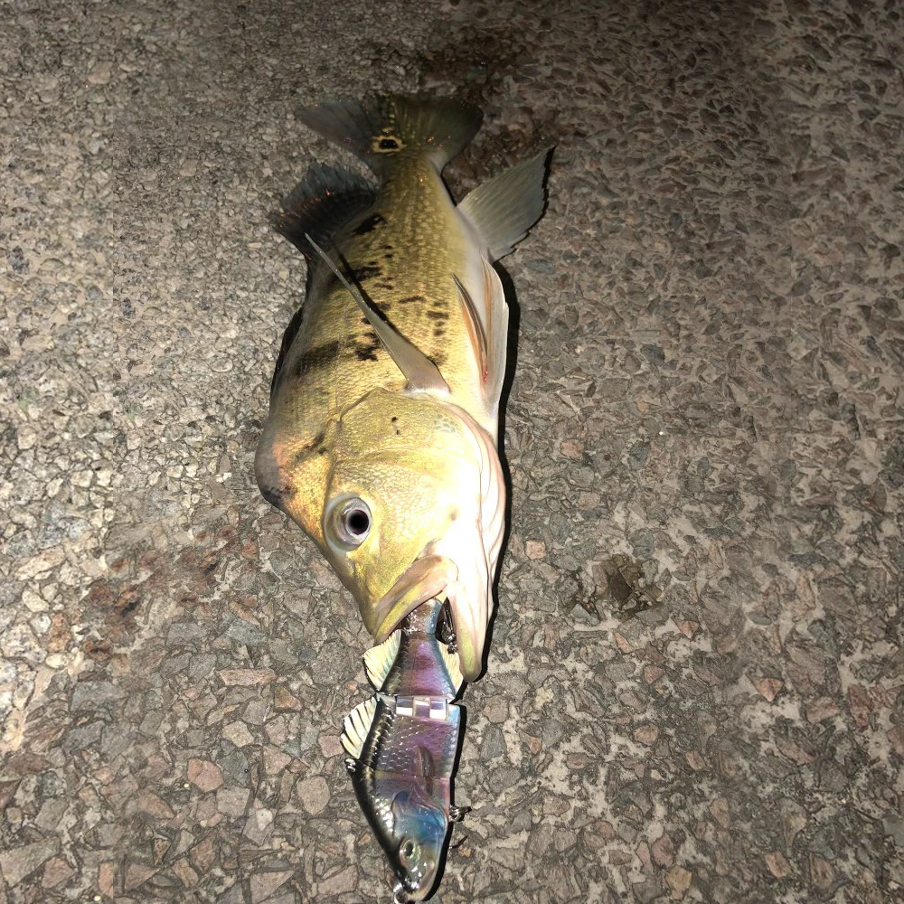 10 cm 21g Señuelos de Pesca natación Multi articulado 4 secciones Isca Artificial Pesca cebo duro Wobblers Pesca anzuelos aparejos Peche