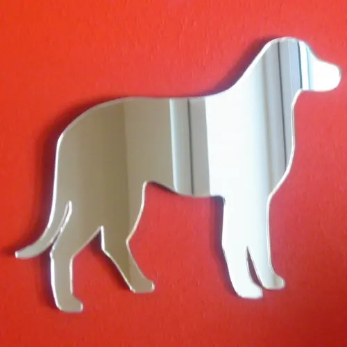 

Labrador Dog Standing Mirror