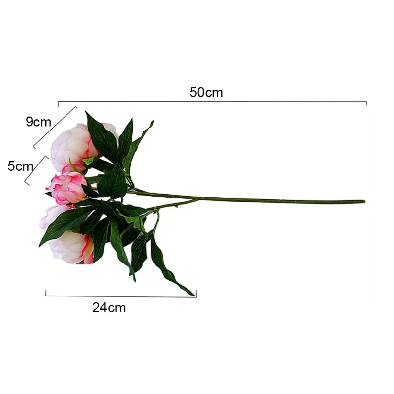 OA0287 (2)