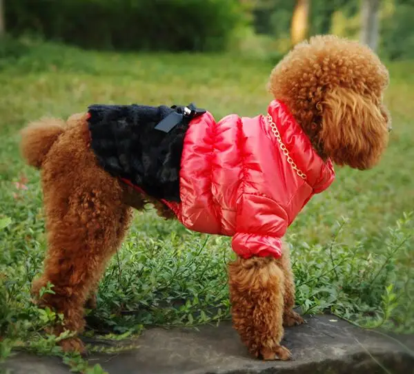1pcs dogs cats lovely bowknot jackets apparel doggy warm soft coats clothes puppy outwear clothing pet dog cat suit XS-XXL