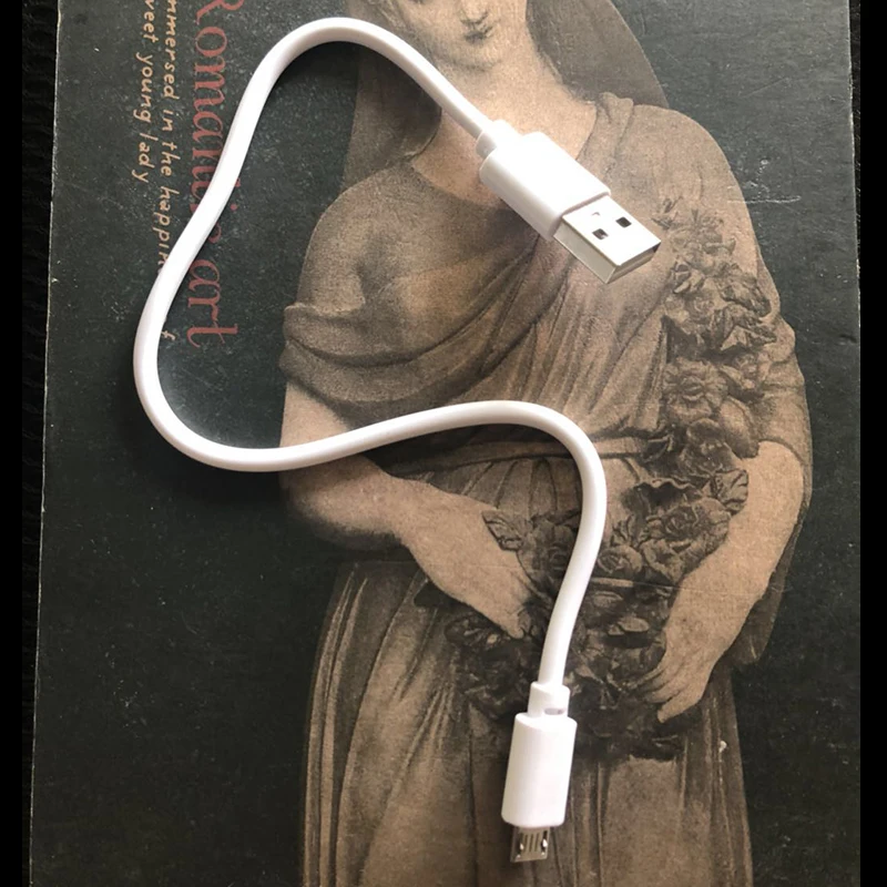 Buy 30CM Power Bank Charger Cable Charge Charging Wire