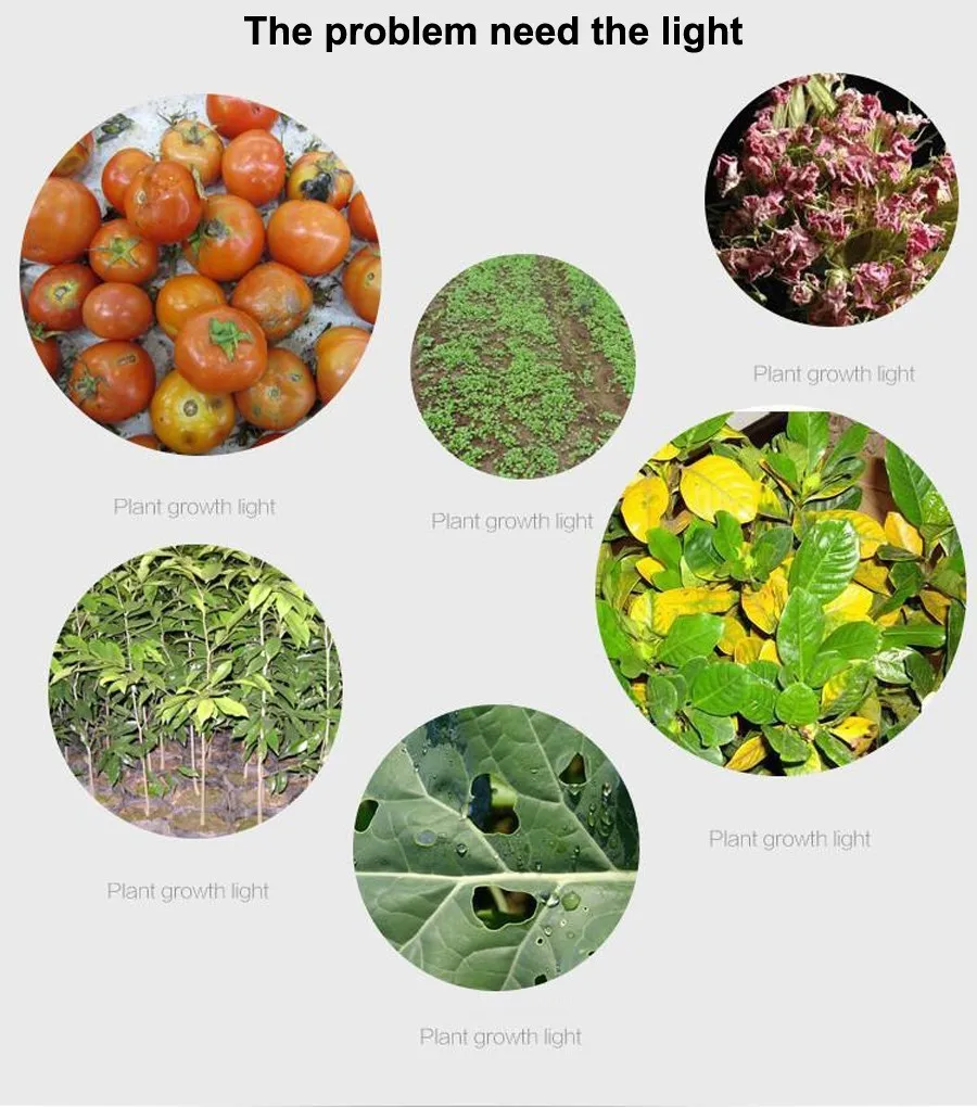 LED Plant Grow Lights  9