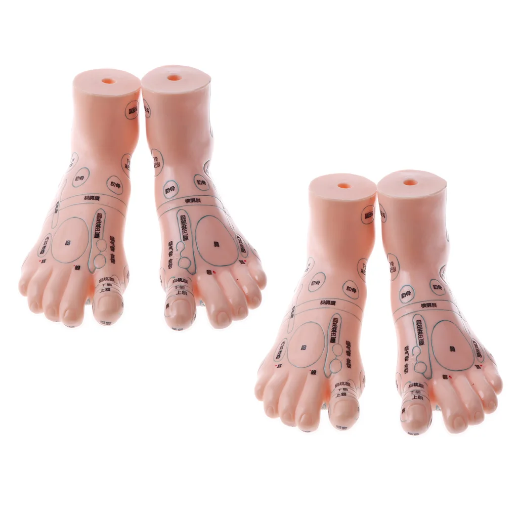 2 Pair 19cm Human Feet Model - Massage Acupuncture Reflexology Acupoint Medicine Learnin Study Kit