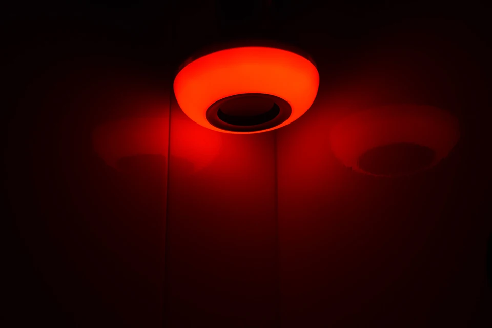 DSC_0337