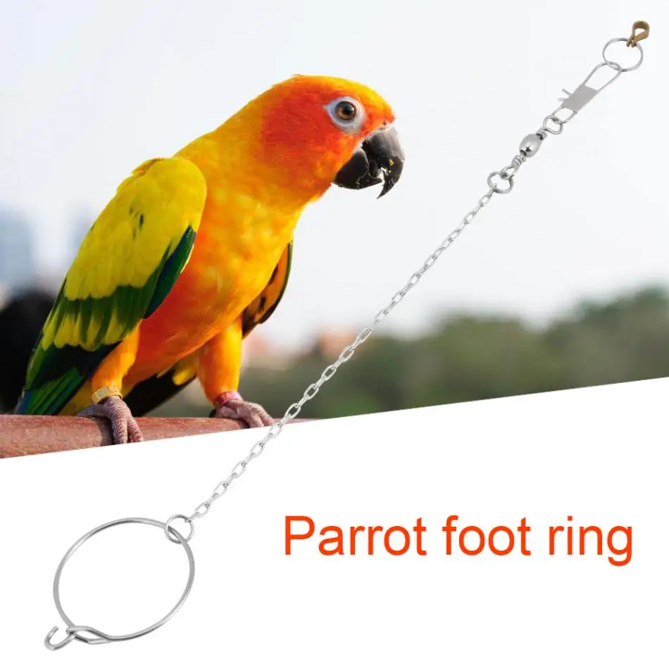 

3.5/4.5/5.5mm Stainless Steel Pet Parrot Birds Foot Stand Chain + Ring Toys