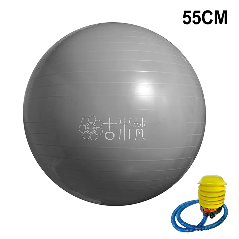 Fitball Zipro Gym Ball 55cm Black