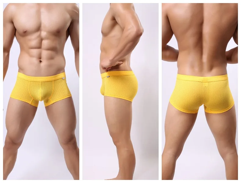 B1015yellow
