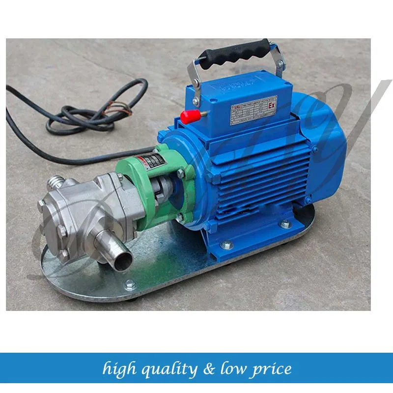 Power Stainless Steel WCB50 Mini Gear Oil Pumpin Pumps from Home
