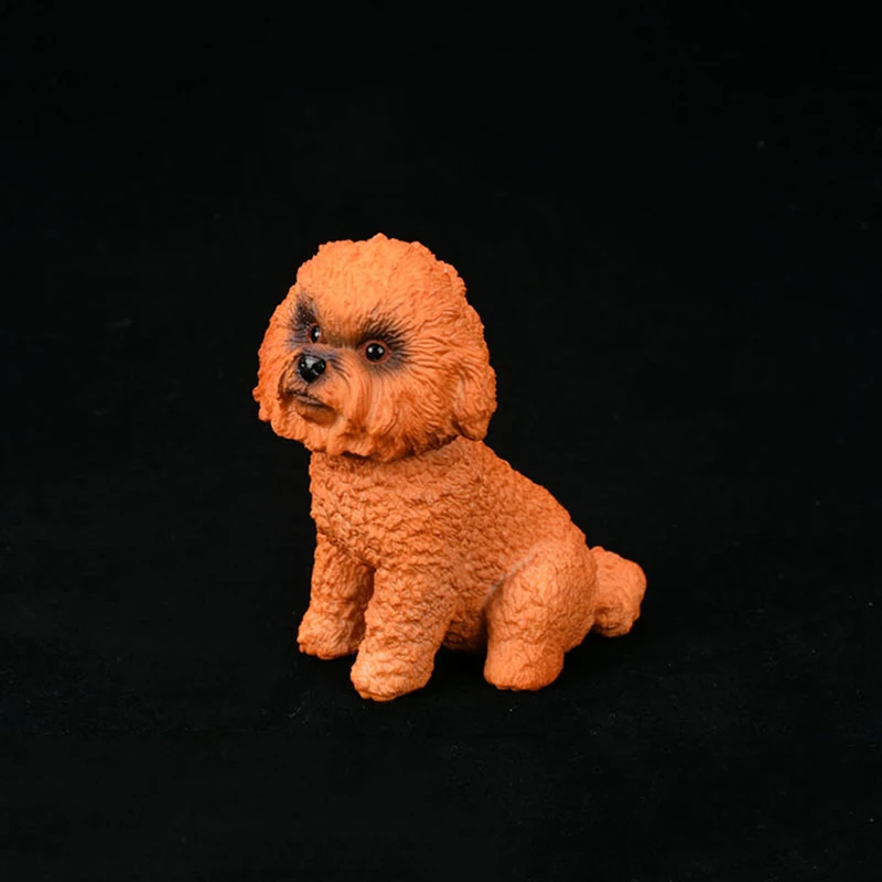 O1CN01zrwslr1ZzPeZ3bZ0N_!!1823343265