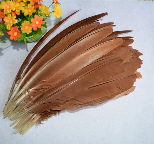 1192 Nouveau Livraison Gratuite Vente 20 Unidslot Oiseaux Belles Plumes Daigle 35 40 Cm Bricolage Ornements Décoratifs Plume Ventilateur Sous