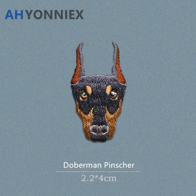 Doberman pinscher