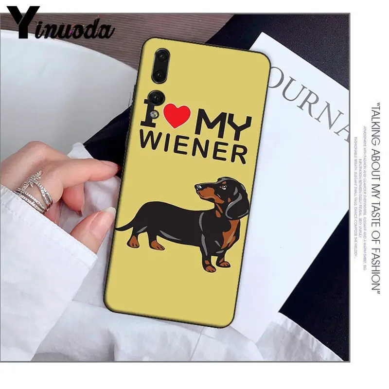 Animals Dogs Dachshund 