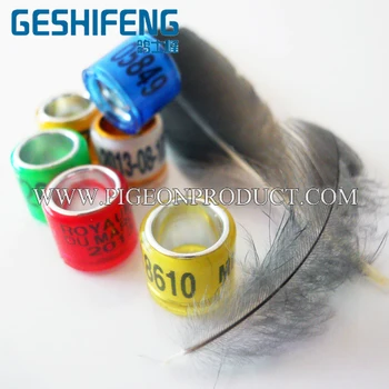 

2013 wonderful design plastic tags for all pigeon birds pet accessories