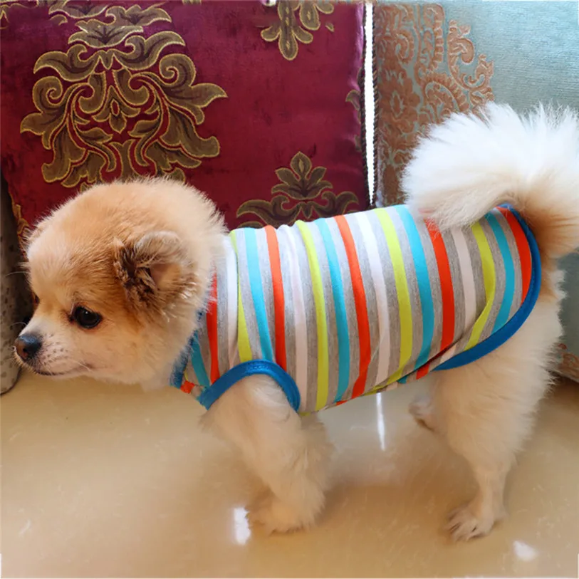 XS-L жилет для собак, цветная полосатая футболка, весна/лето, рубашка для собак, одежда для собак и кошек, одежда для щенков, 40JA10