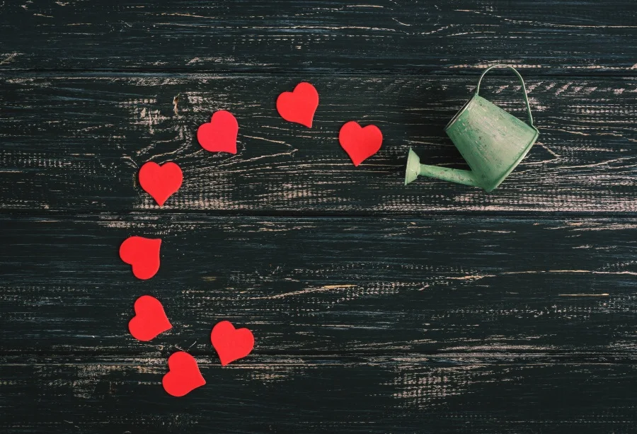 

Laeacco Love Heart Shower Dark Wood Boards Baby Photo Backgrounds Customized Digital Photo Studio Photography Backdrops