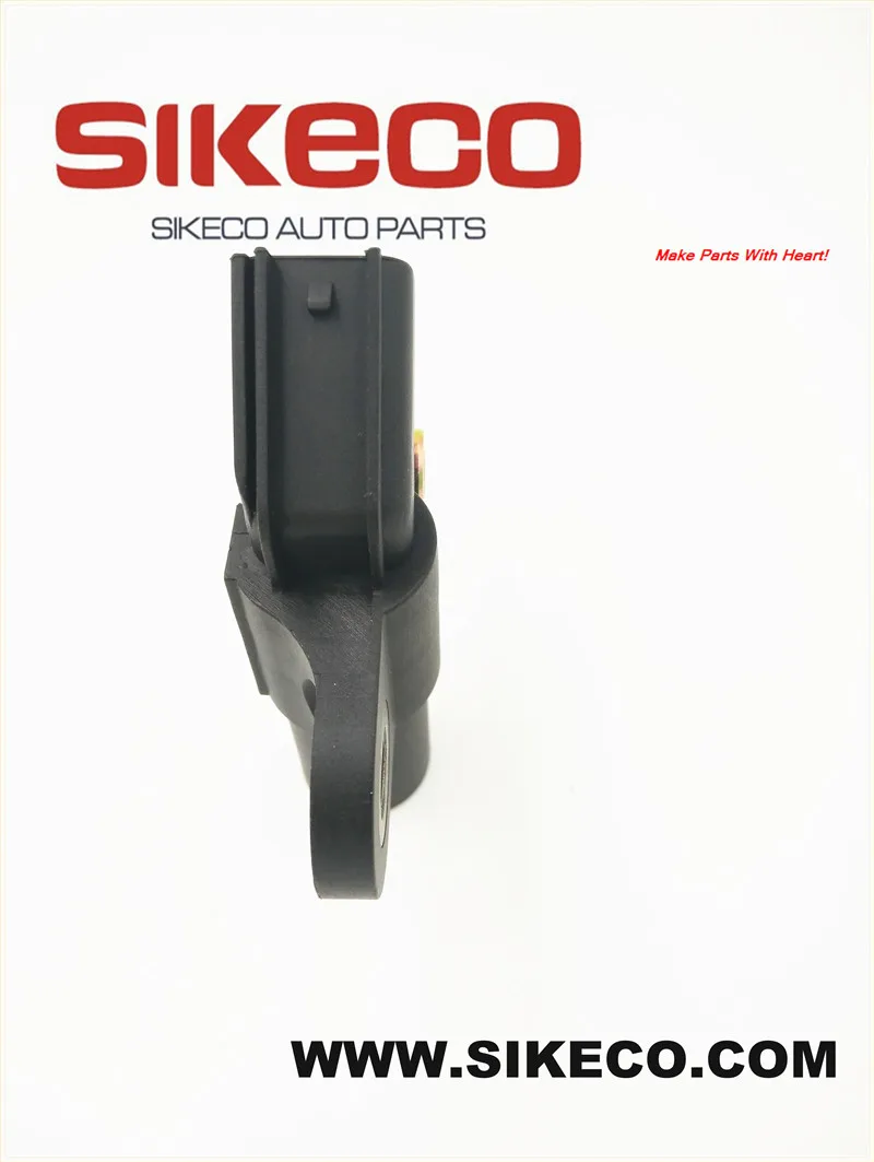 CSS318 (4)