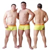 2017 New Arrival Bear Claw Men's Plus Size Boxers Bear Paw Underwear Designed For Gay Bear 6 Colours Free Shipping! M L XL XXL 5