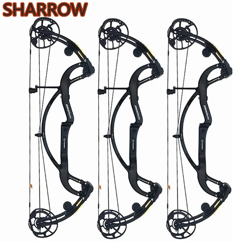 

1 Set 50-65lbs IBO 330FPS Archery Compound Bow Carbon Fiber Adjustable Bows For Outdoor Field Sports Shooting Camping Accessory