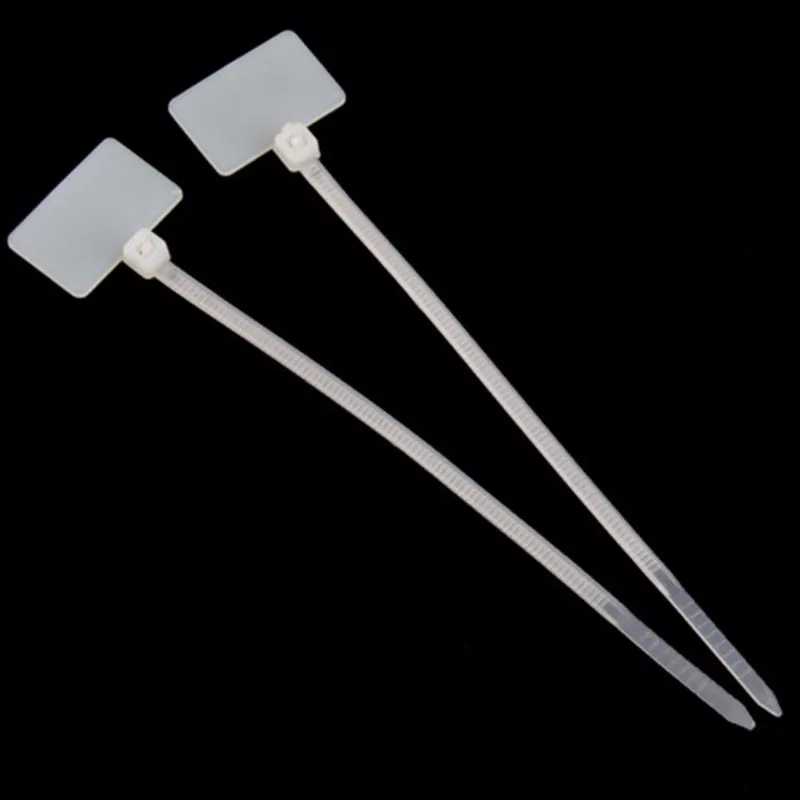 8797_no-logo_008797-1-02