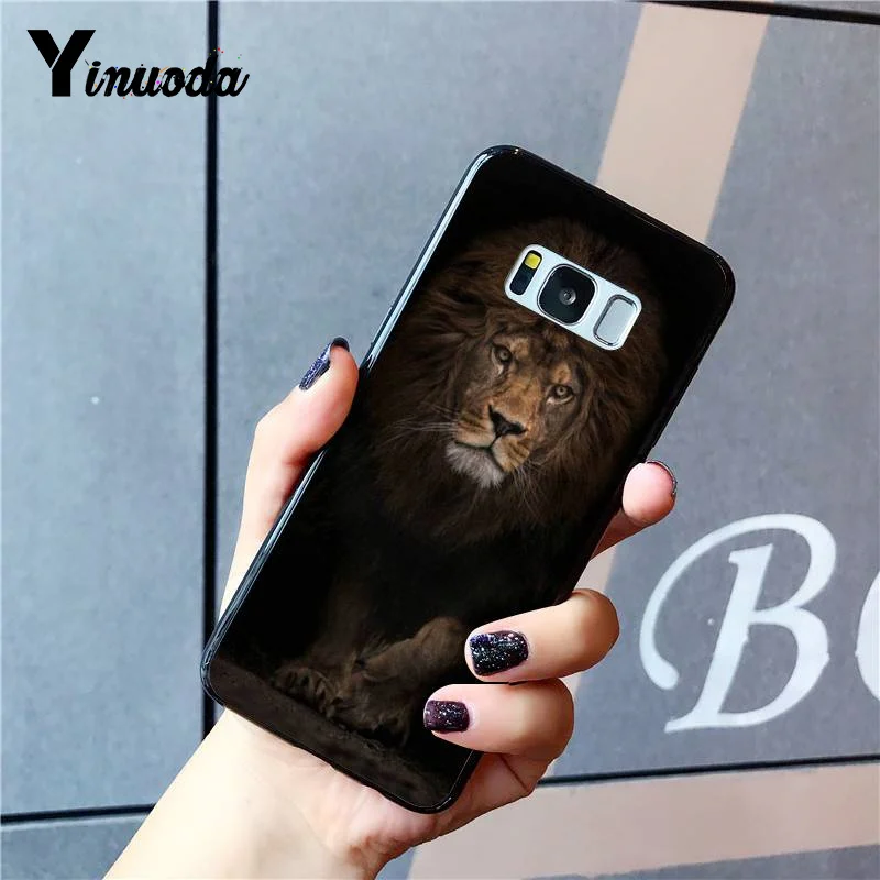 Russian version wolf tiger lion Leopard bear animal