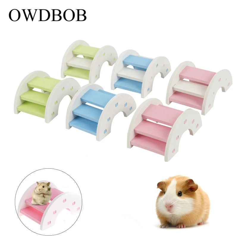 hamster rainbow bridge