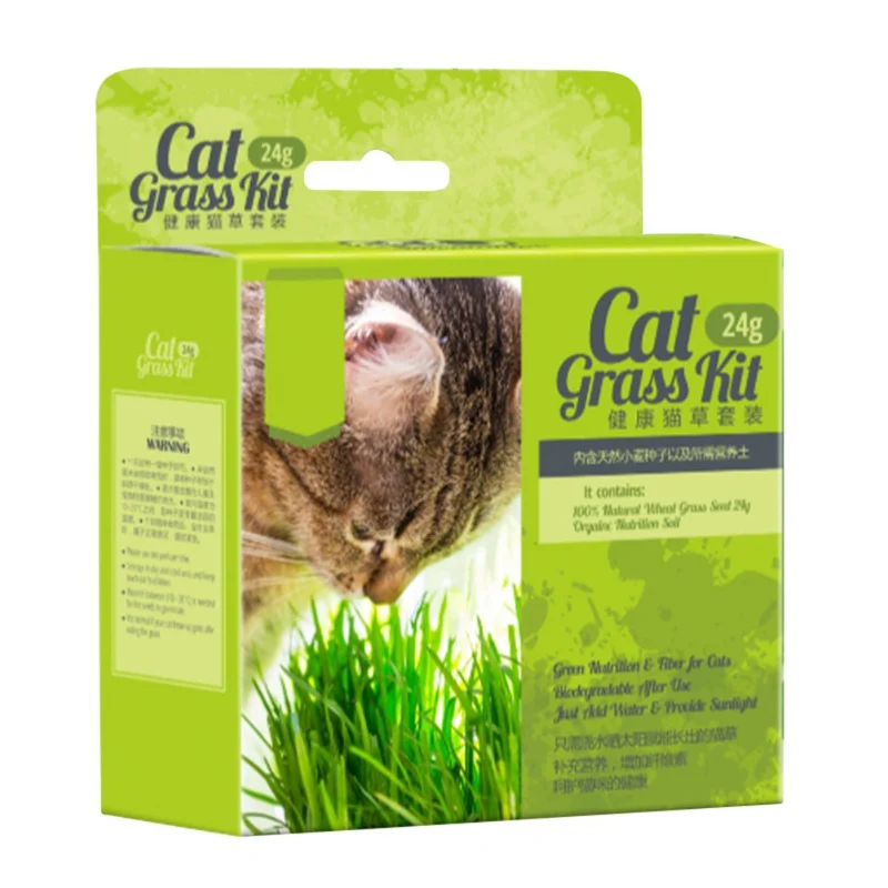 

Cat Grass Plant Self Grow Cat Healthy Grass Herb Edible Lemongrass Organic Cats grass Kit Forest Kitchen Vegetable Bonsai