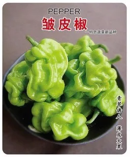 

Cockle bonsai 200 Pcs Hot pepper organic vegetable bonsais